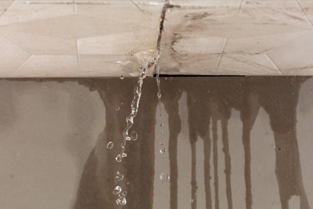 Professional Sewage Cleanup technician working in Masontown, WV